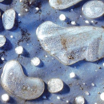 Project Management Professional (PMP)® Certification