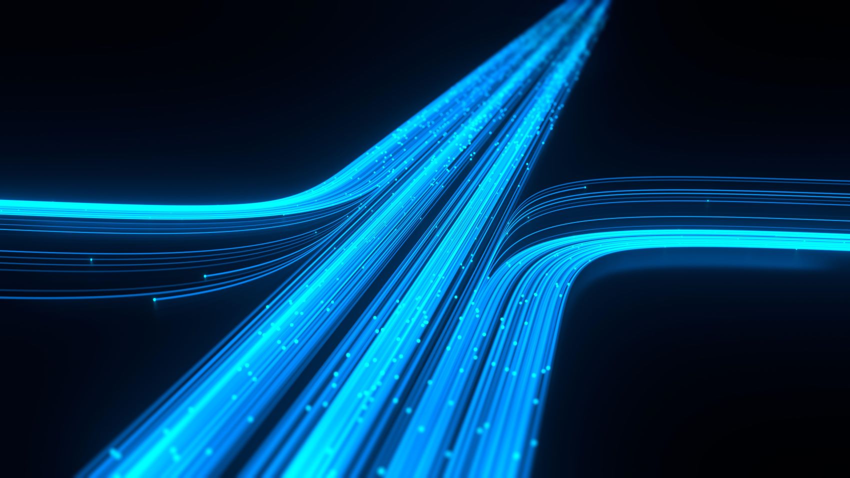 The End of Business as Usual: How AI-Native Companies Win