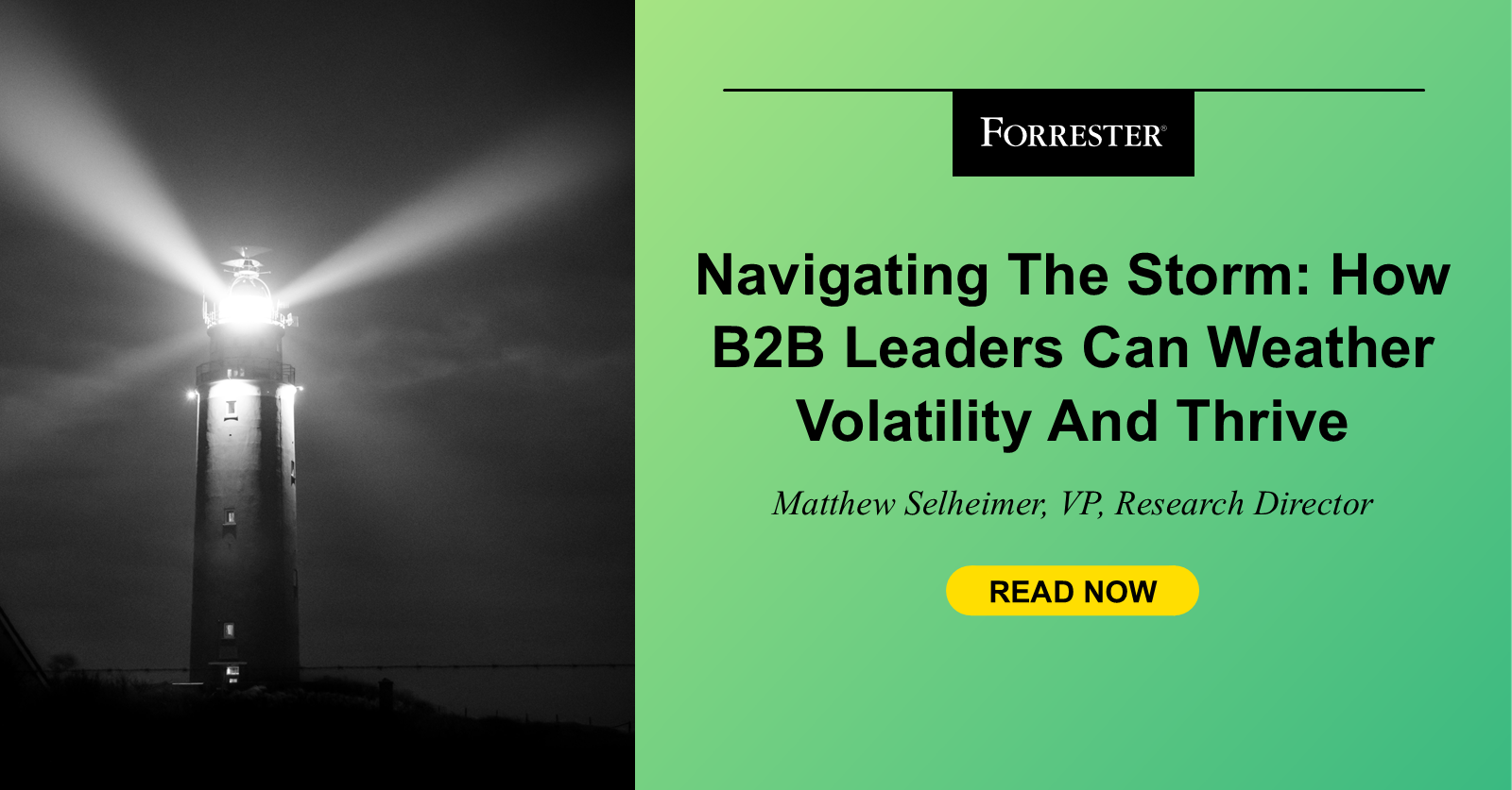 Navigating The Storm: How B2B Leaders Can Weather Volatility And Thrive
