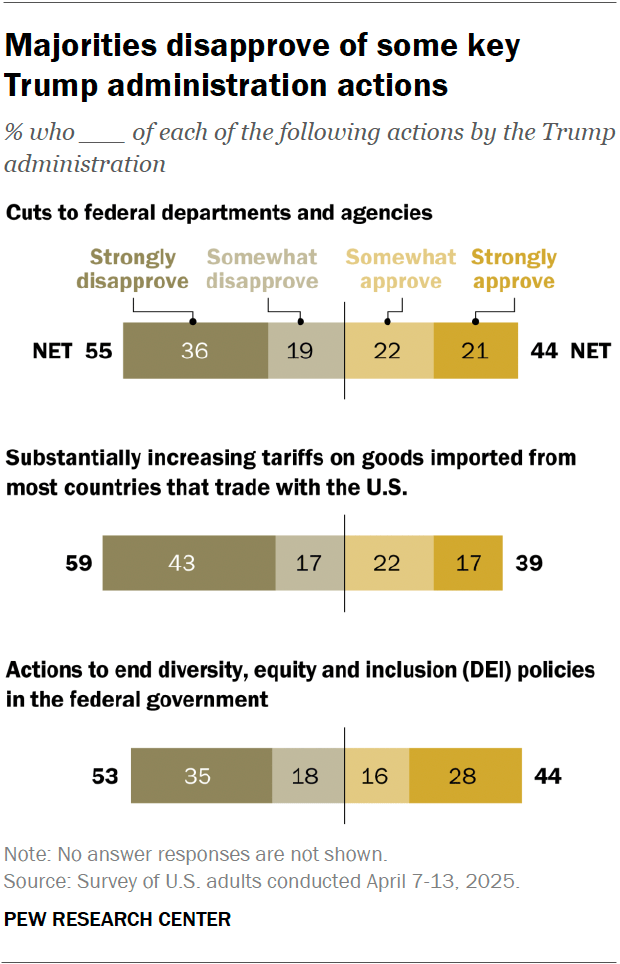 3. Tariffs, DEI and cuts to government: Views of Trump's key actions
