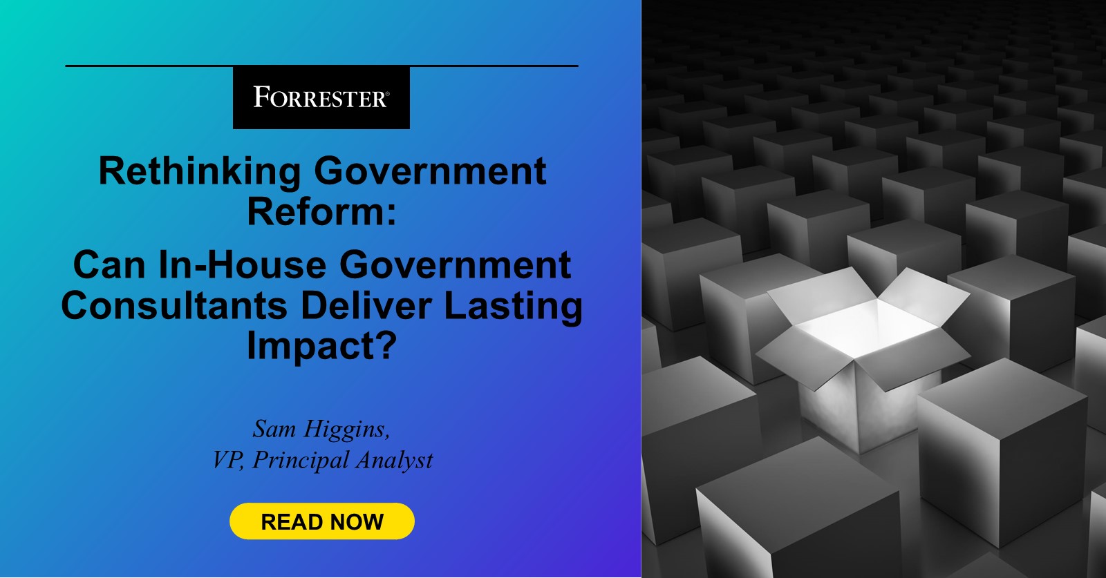 Rethinking Government Reform: Can In-House Government Consultants Deliver Lasting Impact?