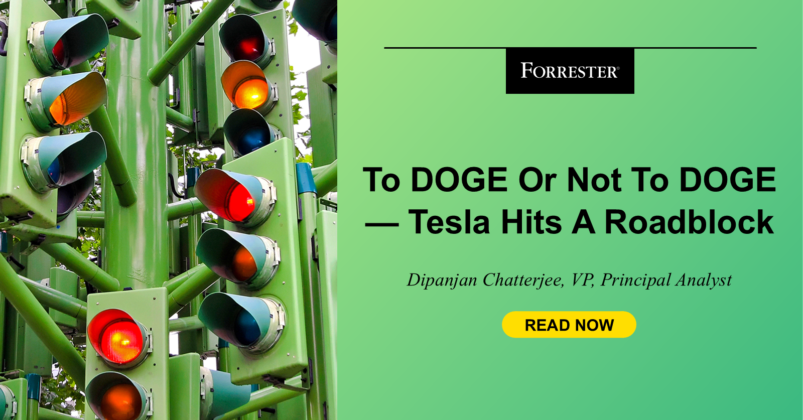 To DOGE Or Not To DOGE — Tesla Hits A Roadblock
