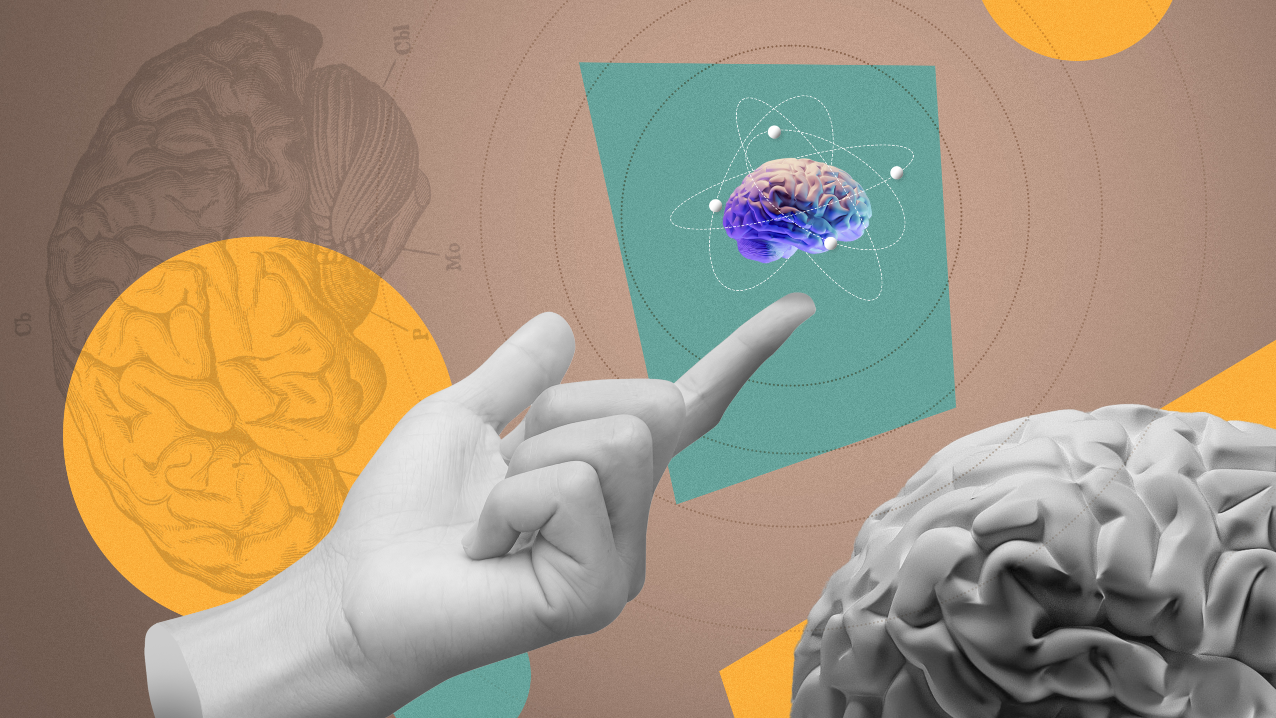 IT leaders see big business potential in small AI models