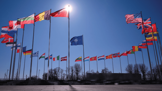 NATO Viewed Favorably Across 13 Member Nations