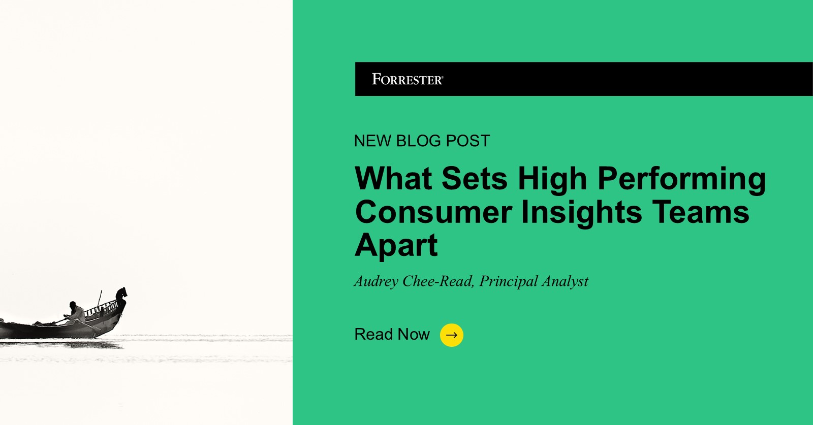 What Sets High Performing Consumer Insights Teams Apart