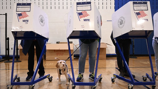 Behind Trump’s 2024 Victory, a More Racially and Ethnically Diverse Voter Coalition