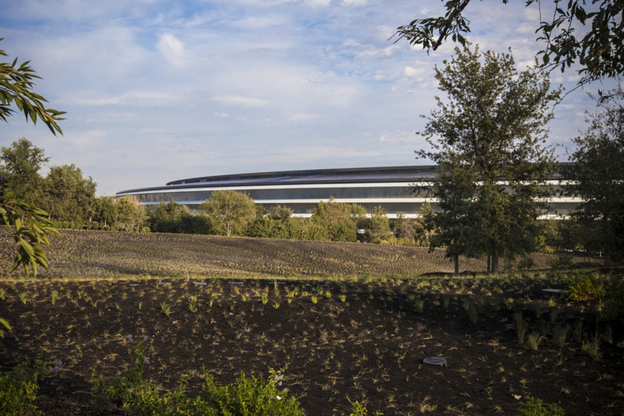 Why would Apple demote its former employees' titles to 'associate'?