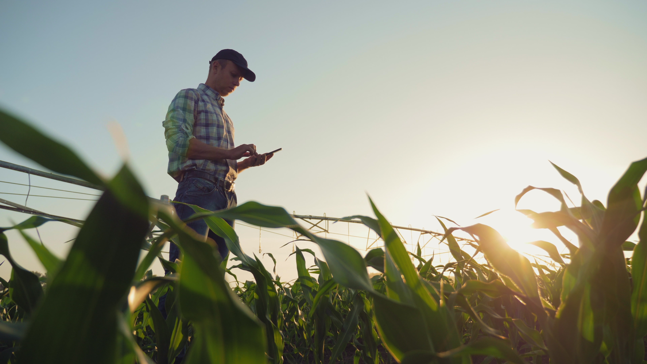 FMC brings more predictability to farming with pest control mobile app