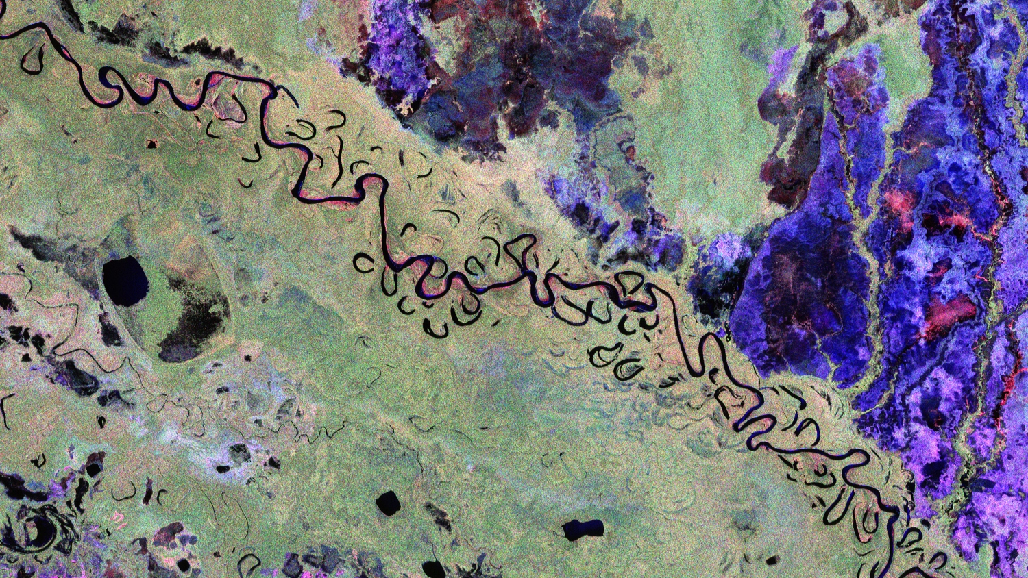 ‘Space umbrella’ returns first striking images of Earth’s forests