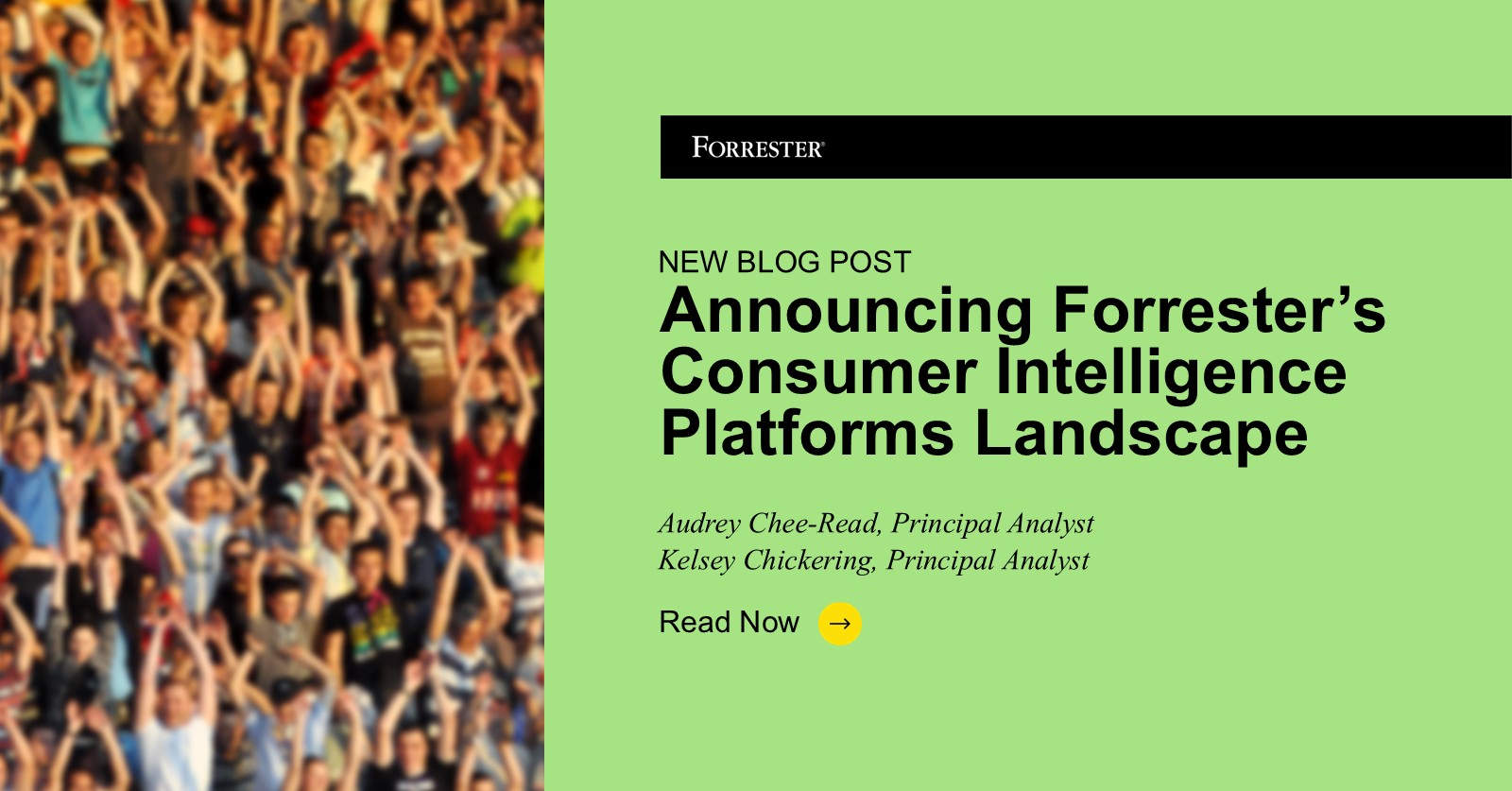 Announcing Forrester's Consumer Intelligence Platforms Landscape