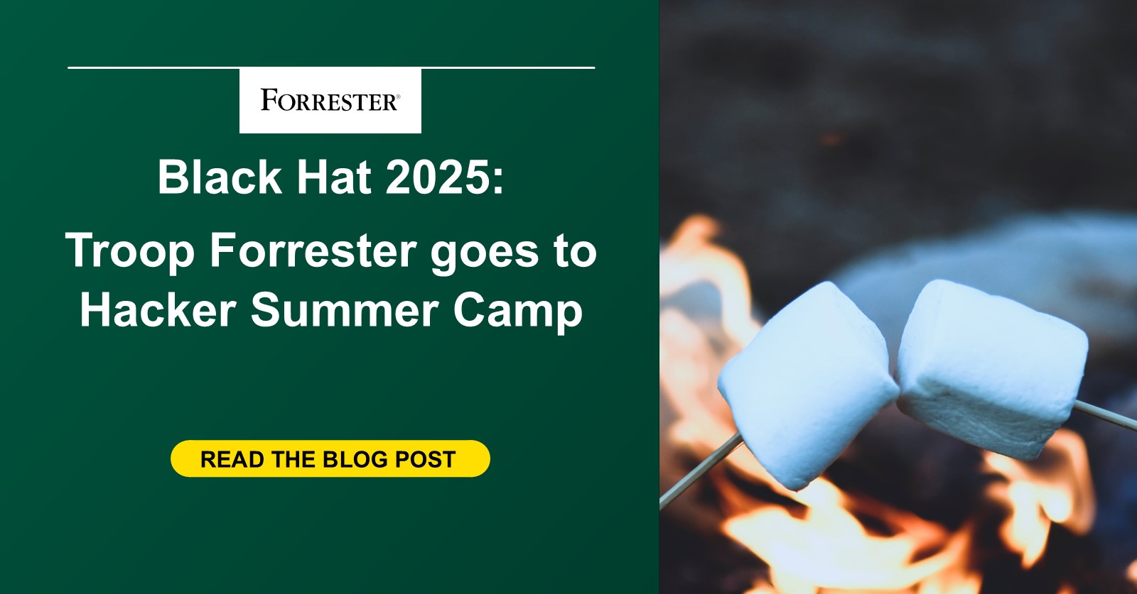 Black Hat 2025: Troop Forrester Goes To Hacker Summer Camp