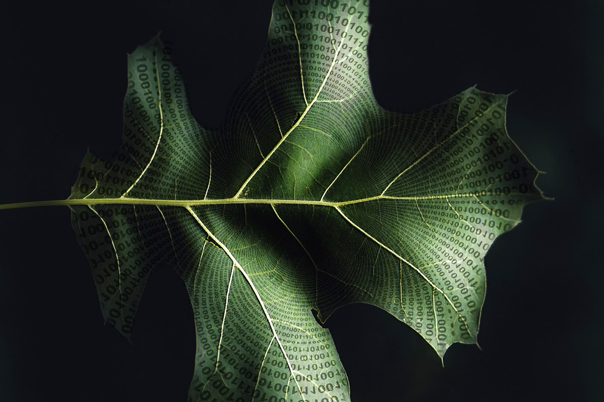 Why versioning AI agents is the CIO’s next big challenge