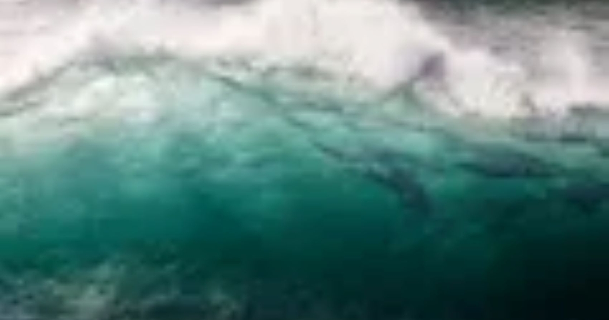 Ride the Wave: Modern Businesses Brave Rough Waters