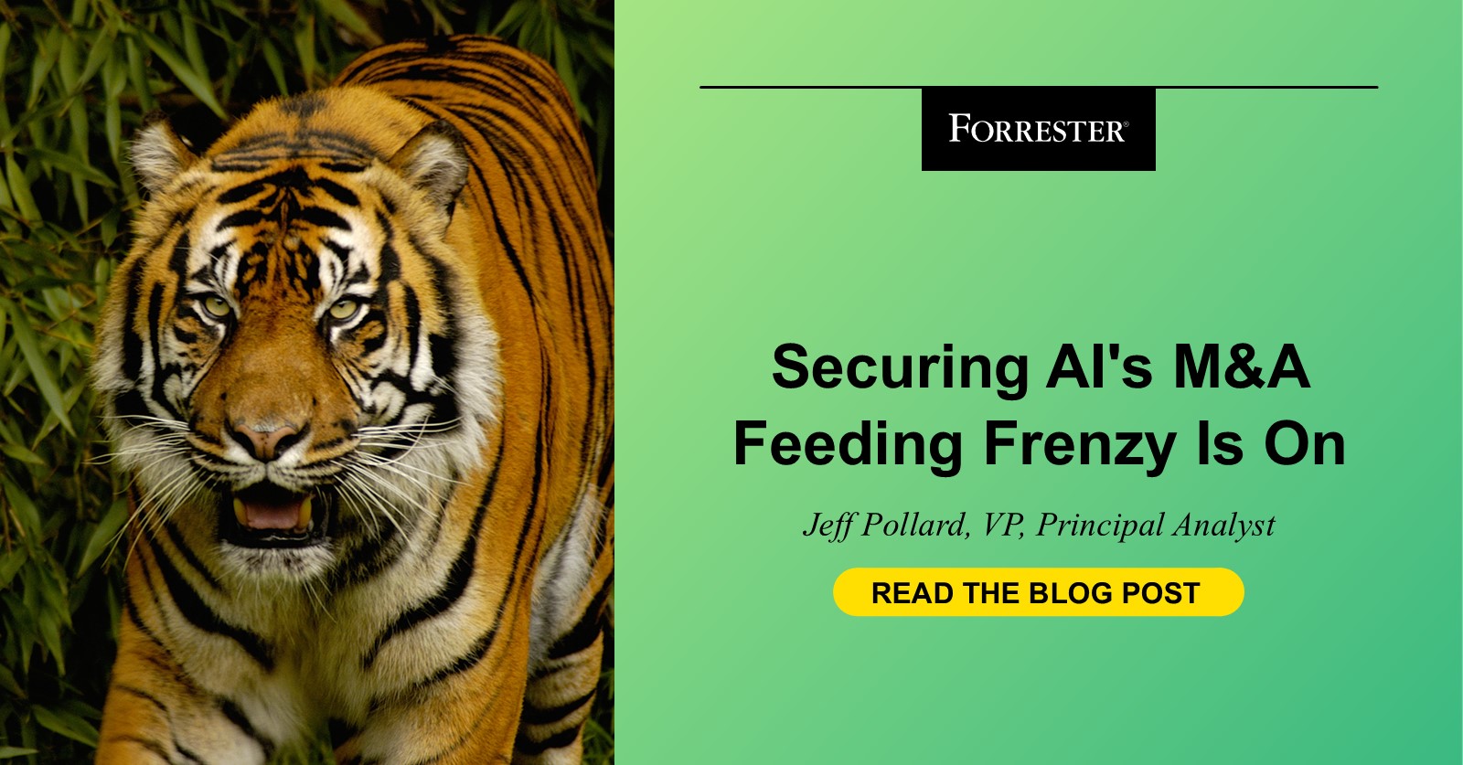 Securing AI’s M&A Feeding Frenzy Is On